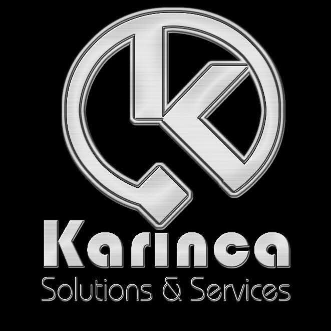Karınca CSS Logo